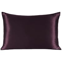 Amazon｜ZIMASILK 100%ピュアシルク枕カバー1枚 髪と肌の健康に 両面19