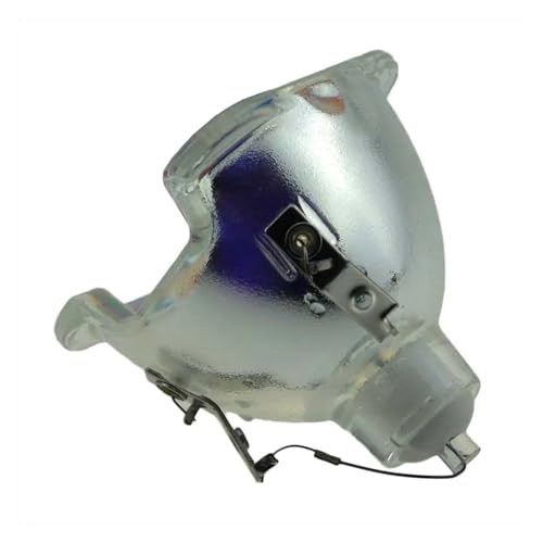 5J.J2N05.011/BL-FS300C SP840/D963HD/D965 TH1060P / TX779P-3D �v���W�F�N�^�[�ɓK�����铊�e�����v�̃A�N�Z�T���[(5J.J2N05.011-CB)