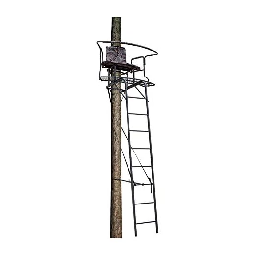 Big Dog Hunting Stadium Series XL Two Person Extra Wide Ladder Treestand with Blind, 17.5', Grey