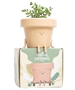 Original Earthlings Urocza Doniczka na Kwiaty