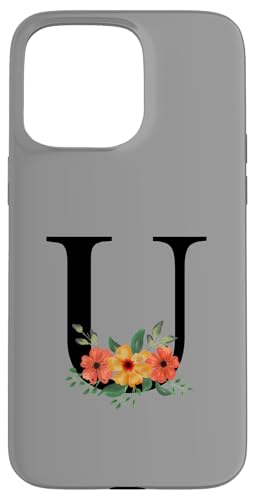 킢mO CjV J[  啶 U X}zP[X iPhone 15 Pro Max p