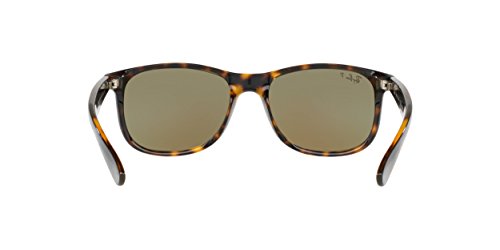 Ray-Ban 4202 Occhiali da sole