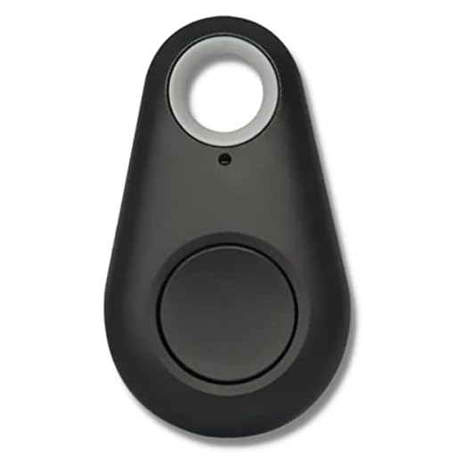 Chaveiro Rastreador Tag Localizador Objetos Weemsbox Carteira Bolsa Animais (Preto)