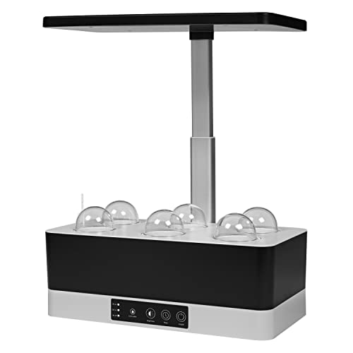 LEDVANCE Lampe à LED pour...
