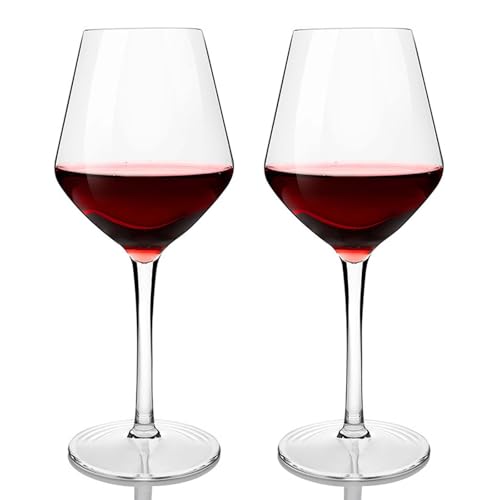 alouweekuky Floating Wine Glasses for Pool Set of 2, 420 ml, Tritan Wine Glasses, Plastic Glasses, Floating Swimming Pool