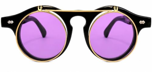 Image of OWL Steampunk Vintage Retro Round Circle Gothic Hippie Colored Plastic Frame Sunglasses Colored Lens