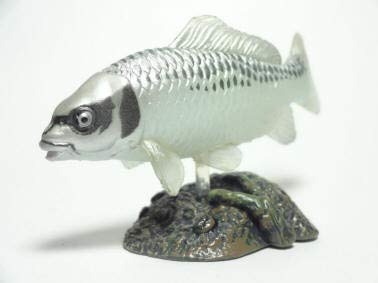 原色淡水魚図鑑 I・II 改訂版　淡水魚フィギュア数個 原色淡水魚図鑑 I・II 改訂版 淡水魚フィギュア数個