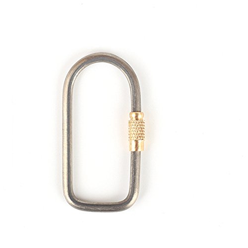 Preisvergleich Produktbild LaDicha Titan Schlüsselanhänger Arretieren Hakenkette Locken Schlüsselanhänger Kette Camping - 02