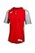 Mizuno Youth Aerolite 2-Button Baseball Jersey, Red-Grey, Medium