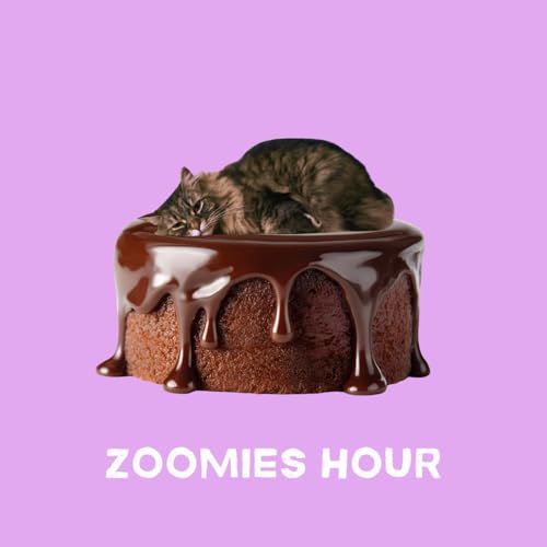 #043 猫の日どうする？！猫イベントありすぎ問題