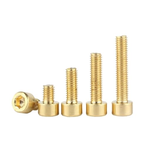 KIZUNA Tools M2 .5 M3 M4 M5 M6 M8 M10 ^JZpZpt{g(10mm,M2.5 (20pcs))