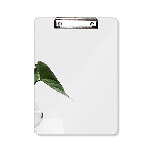 Plante à feuilles vertes Simpol A4 pour rafraîchir un mur blanc terne