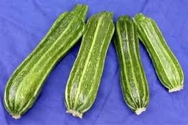 25 Plus Certified Organic Costata Romanesco Zuchinni Squash Seeds By Stonysoil Seed Company