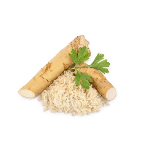 KEJORA Fresh Horseradish Roots 2 LBS