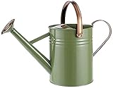 Resistente regadera de metal con asa plegable
