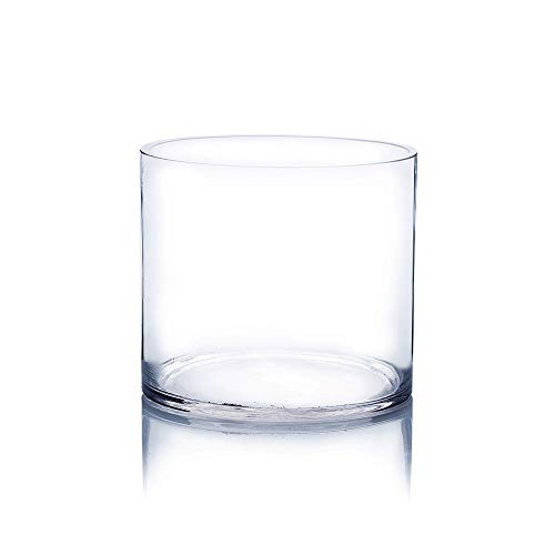 WGV Clear Cylinder Glass Vase, 6 by 6-Inch