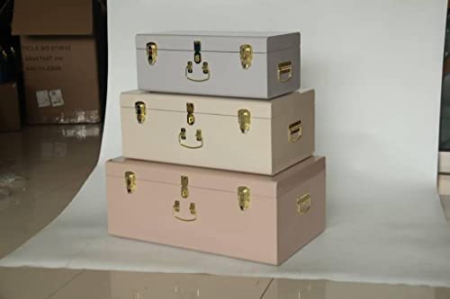Allan & Coods - Decorative Metal Trunk Set Of 3 - Vintage Style Storage With Rose Gold Handles & Locks - Space Saving Organizer Home Dorm & Office Use (Multi) #TOP1