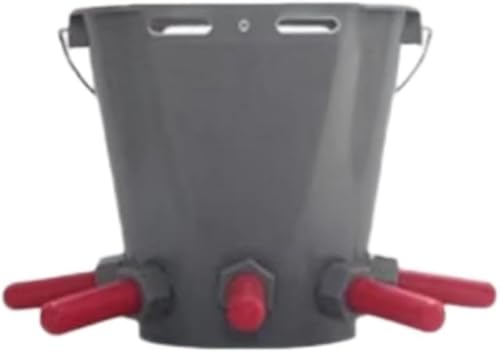 GEBYUIƒ{p~NaoPc {Y_ S݌v