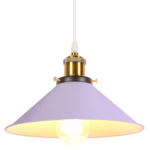 iDEGU Rétro Suspension Luminaire Vintage 26cm Plafonnier Abat-jour Moderne en Métal E27 Lustre...