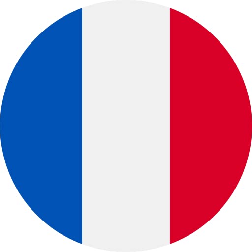 Rouleaux papier toilette Jumbo/Maxi 320m - Pure ouate - 2 plis - Blanc - Ecolabel - Fabriqué en France - Lot de 6