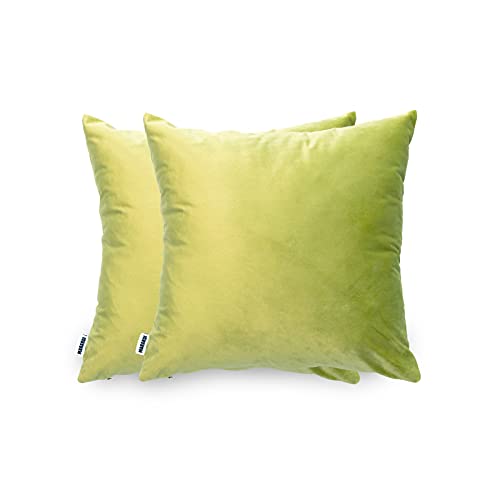 MARARDI Pack de 2 Fundas de Cojines de Terciopelo Suave [Color Verde Pistacho] 45x45cm con [Cremallera Invisible] Decorativos Cama Sofá Silla Domitorio Cocina Jardín Sala de Estar Estudio y Oficina