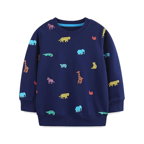 Boys Sweatshirts Casual Sweatshirts Cotton Sweatshirts Long Sleeve T-shirts Crew Neck Cartoon Tops for Boys-372