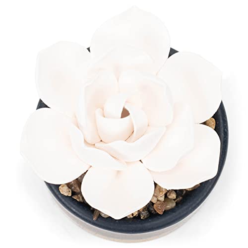 Demdaco Navy Blue And Speckled Golden Succulent 3 X 5 Stoneware Decorative Tabletop Oil Diffuser #TOP3