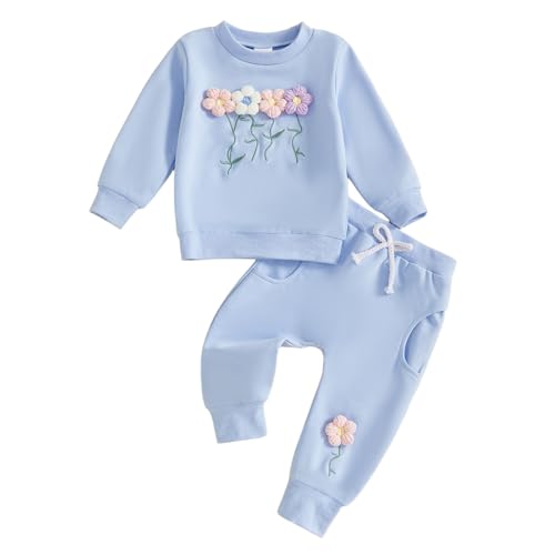 Barbotimer Toddler Baby Girl Fall Winter Clothes 3D Flower Embroidery Sweatshirt Long Sleeve Pullover Tops Jogger Pants Cute 2Pcs Sweatsuit Tracksuit Set (Blue, 2-3 Years)