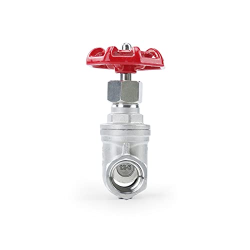 Válvula de compuerta DN20 en acero inoxidable SS304 con rosca hembra de 3/4 pulgadas 5