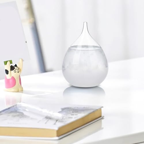 Cadeau idéal verre tempête goutte météo pour collègue et ami
