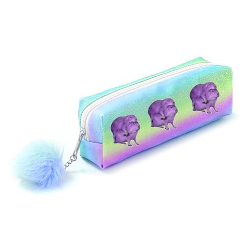 DUORUIMI Rainbow Pencil Case Pen Bag Holder Large Capacity with Glitters Office School Organizer Storage for Students Girls