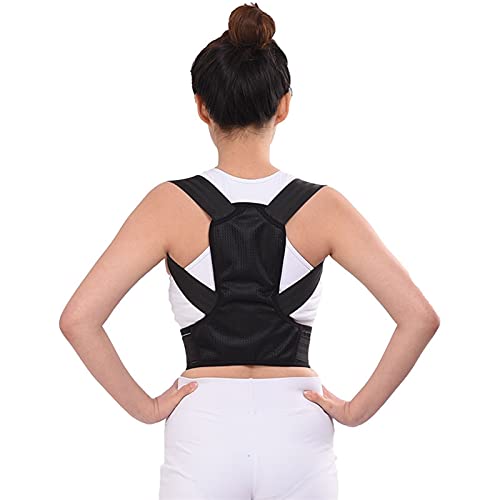 pu wƌ̎pT|[gu[X \ȃu[X ҒŃT|[g w  ̒ɂ݂y (F : ubN, TCY : L) charitable