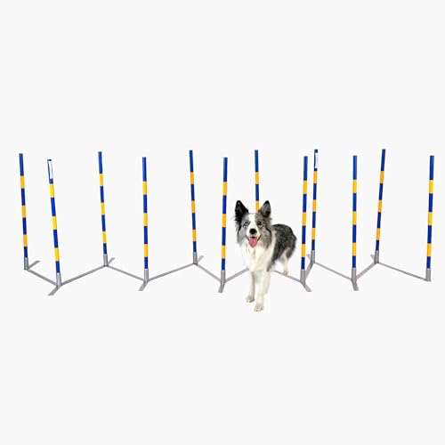 Callieway Slalom Agility Couloir (Aussi pour l’Entrainement) Conforme au règlement FCI – Original