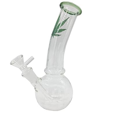 8 inch Handmade Glass Vase Art Crafts Water Bottle,100% Handmade (Clear)