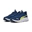 Persian Blue Puma White