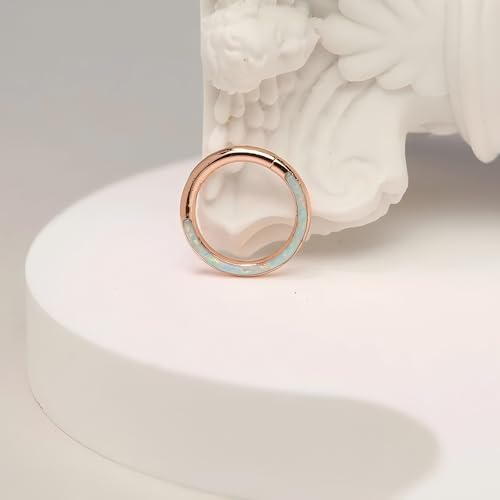 Image of PEAKLINK 16G 18G 316L Stainless Steel CZ /OPAL Septum Piercing Septum Clicker Ring Hinged Nose Ring Daith Earrings Conch Piercing Jewelry Helix Cartilage Tragus Lobe Belly Hoop Earring