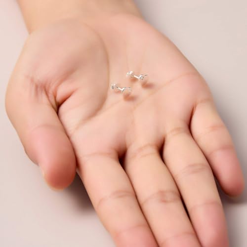 Pendientes de corazón para niños con cristales Zircondia en plata 6