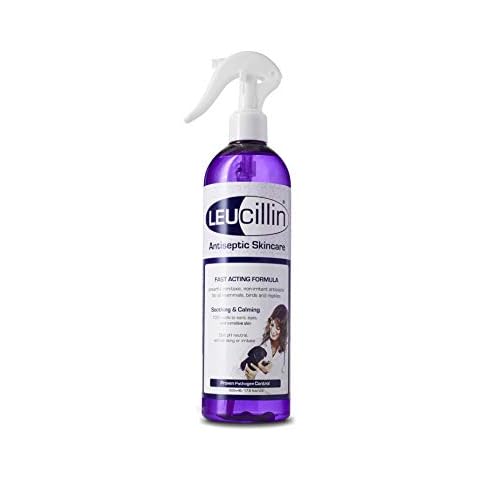Leucillin Natural Antiseptic Spray for Pets Cover