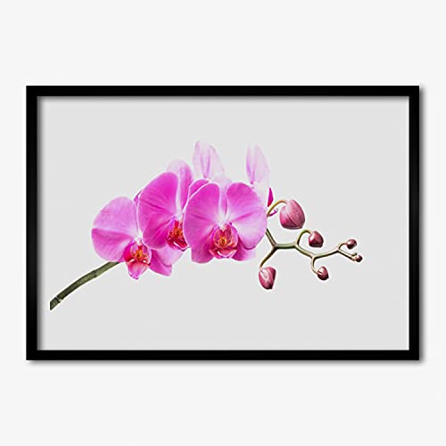 Cadre de salon nature et fleurs avec affiche murale 70x50 cm Tulup chambre