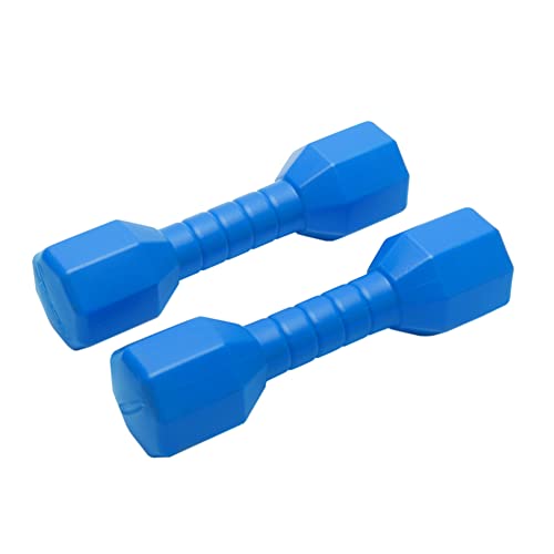 2Pcs Children Dumbbells, Dumbbells For Children, Kids Plastic Hand Dumbbells Kids Toy, Weights Fitness Home Gym Children Exercise Barbell Fitness Sport Toys(Blue) #TOP4