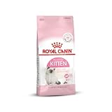 Royal Canin C-58434 Gato - 4 Kg
