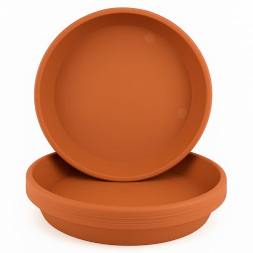 Home Garden Ornaments Soucoupe Pot Fleur 18.5cm Diamètre Marron Clair Lot de 5 - Durable Soucoupe Ronde - Soucoupes pour Pots de Fleurs - Soucoupe Pot de Fleur Interieur (Marron Clair)