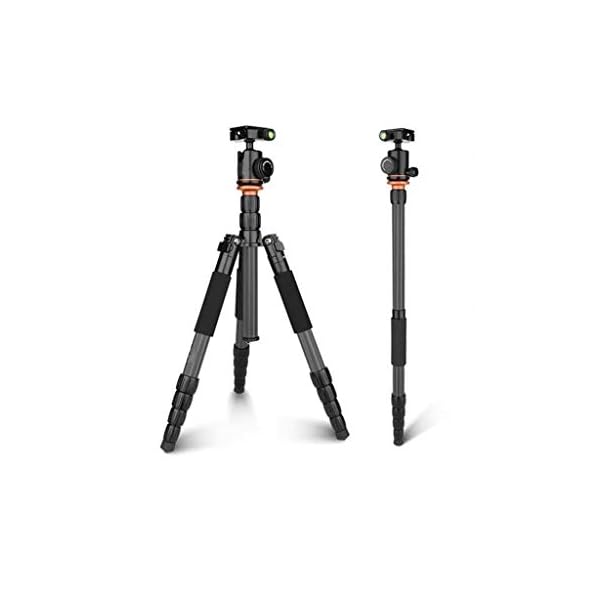 LICHUAN Professionelles tragbares Stativ mit kabelloser Fernbedienung und Universal-Clip, kompatibel mit Kamera, Handy…