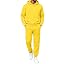 Y18 Yellow
