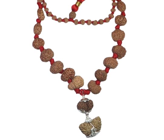 Gemstone GalleryGemstone Gallery A1 Quality Sarva Siddha Mala Indonesia 1 to 14 Mukhi Rudraksha Mala With Thread Ek se Chaudah Mukhi Rudraksha Mala Original Certified Gauri Shankar Ganesh Rudraksh For Worship Purpose