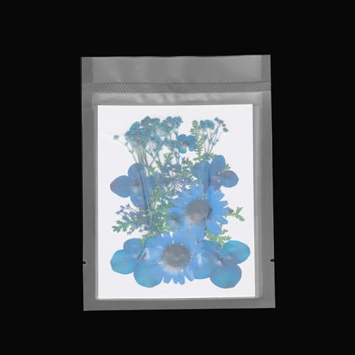 Flores prensadas secas para manualidades multicolor miniatura 4