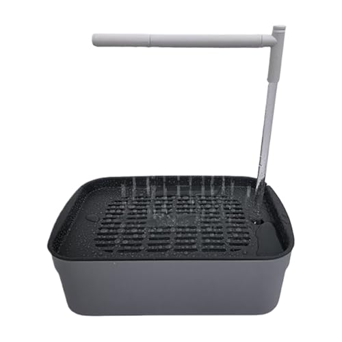 Bain automatique pour oiseaux domestiques : offrez une douche zen à vos perruches