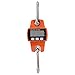 Mini Bilancia Elettronica Portatile con Schermo LCD Digitale Appendere Peso Sopportato 300 kg con Gancio