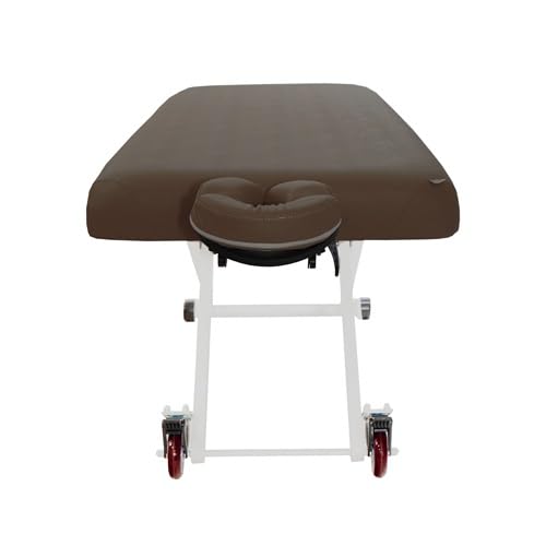 stella professional massage bed✳︎ Stella Electric Medical Spa Treatment Table (Facial Chair/Bed)