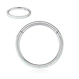 16G Nose Rings Hoops Silver Cartilage Earring White Opal Nose Ring Conch Daith Rook Orbital Helix Daith Piercing Jewelry Cartlidge Septum Jewelry Cartilage Conch Hoop Earring Helix Tragus Earring 8mm